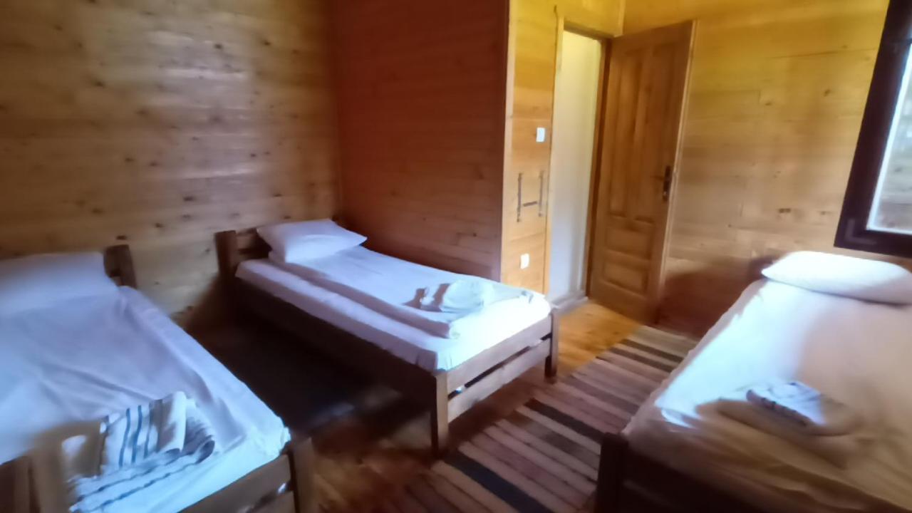 Bungalovi Drevna Novi Sad Bagian luar foto