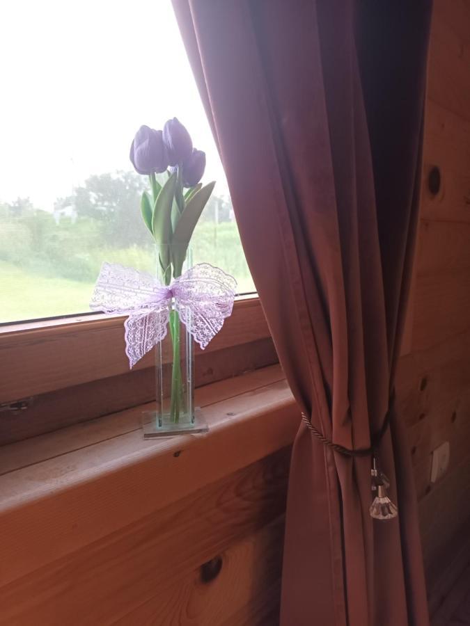 Bungalovi Drevna Novi Sad Bagian luar foto
