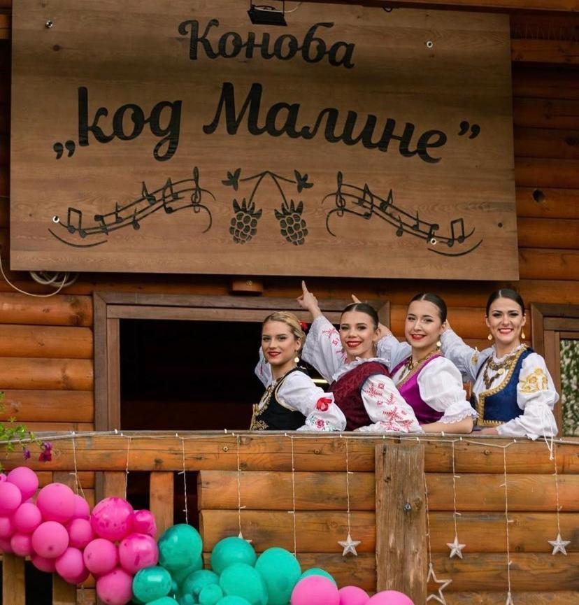 Bungalovi Drevna Novi Sad Bagian luar foto